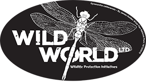 Logo---WWL-CDP